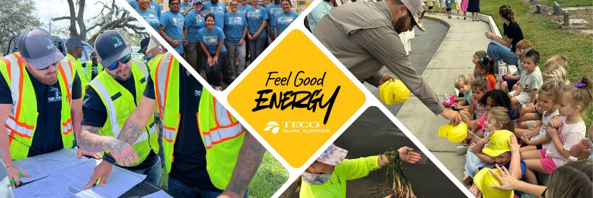 Tampa Electric's banner