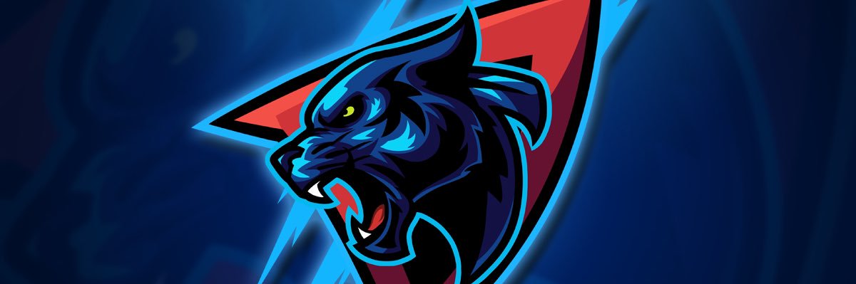 CAMY's banner