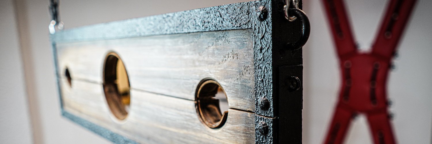 bdsm-ferien 🐦📯🐦's banner