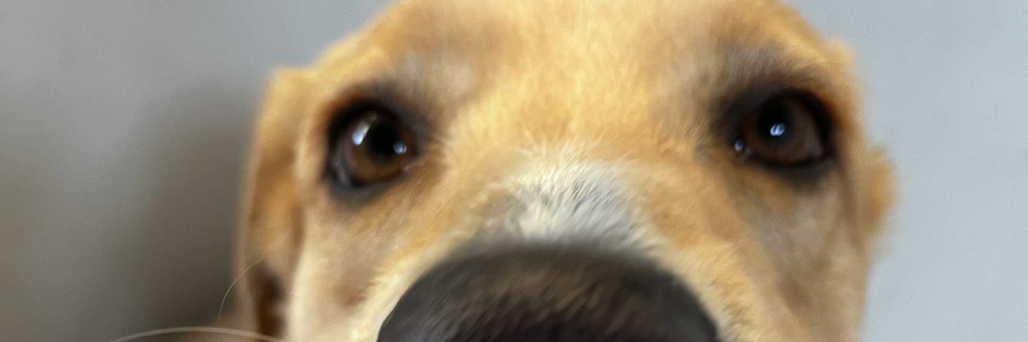 .'s banner