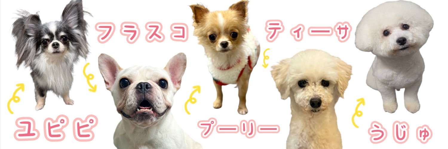保護犬カフェ®鶴橋店's banner