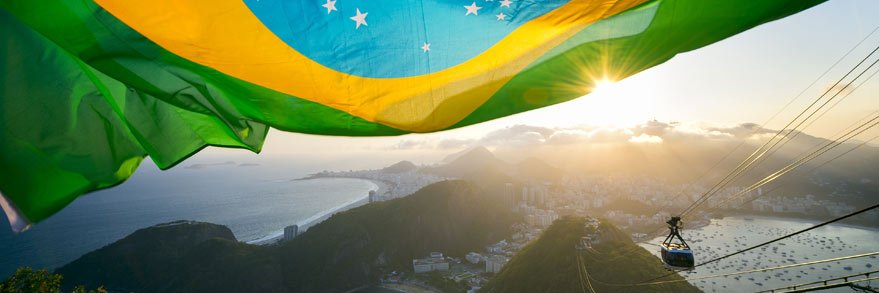 Alfred Newmann 🇧🇷's banner