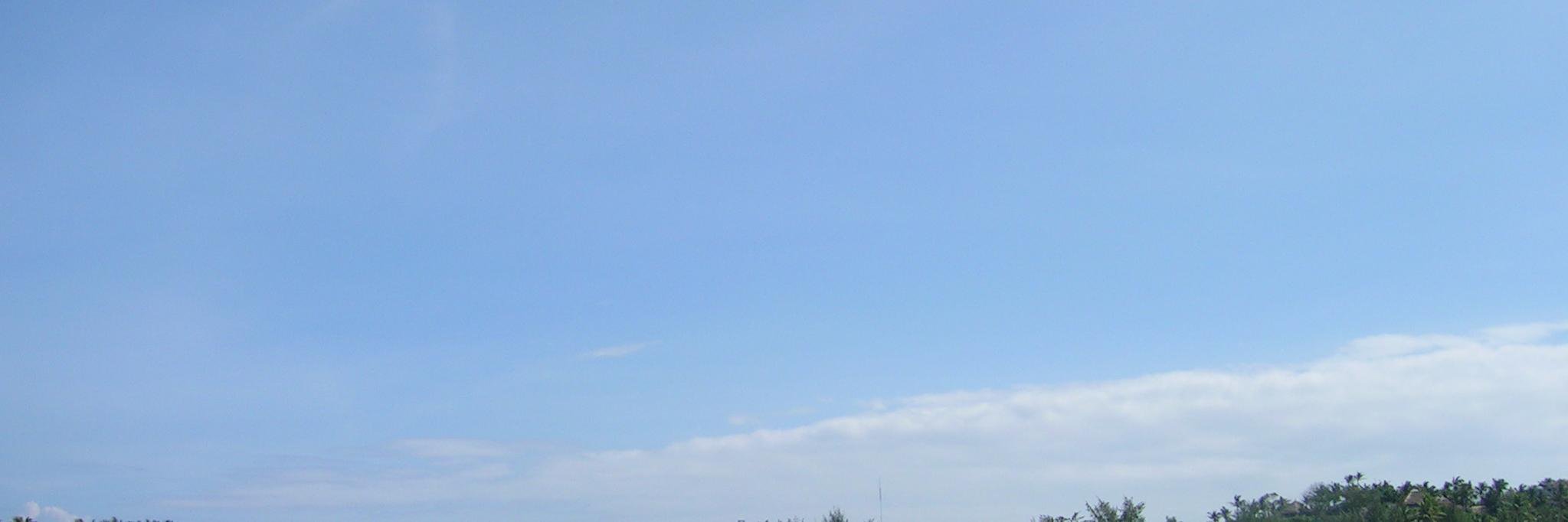 d bix's banner