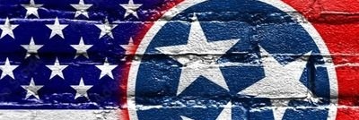 Ⱥmerican Trucker 🇺🇸's banner