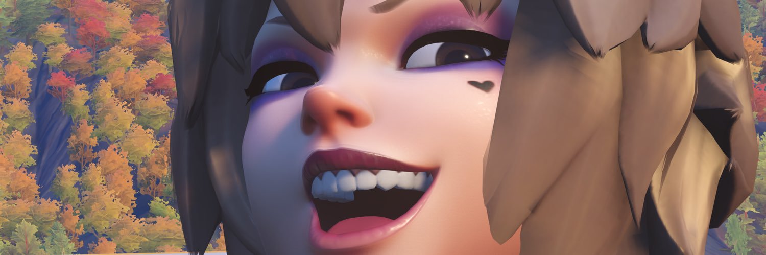 Proto VI's banner