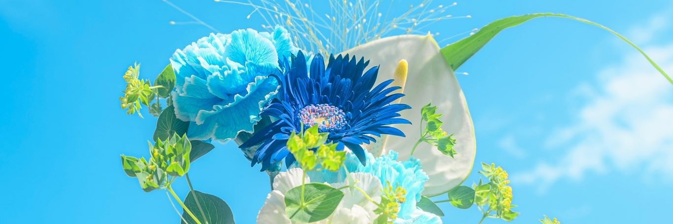 BLueMoOn's banner