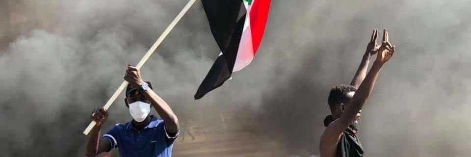 عباس محمد إبراهيم's banner