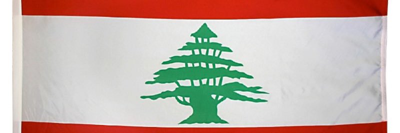 slanted&enchanted's banner