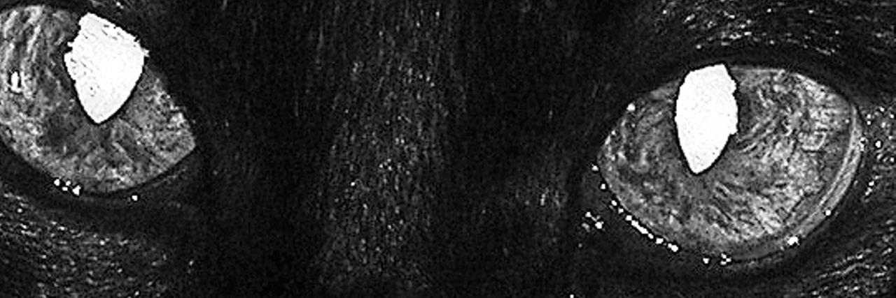 kaan sezyum's banner