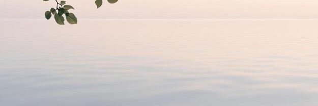 Sam Avishay's banner