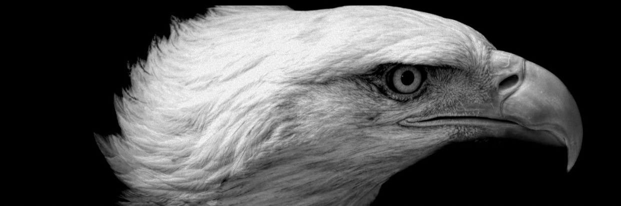 Fatih 🦅🖤🤍's banner