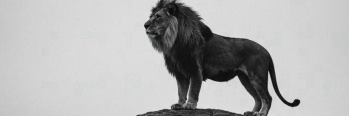 ماجد بن عبدالله بن سعيد الرحيلي's banner