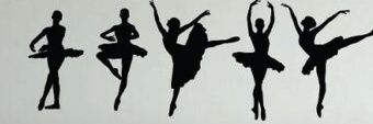 fatima's banner
