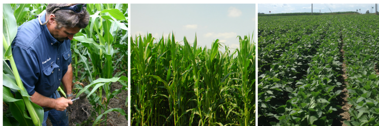 Crop-Tech Consulting's banner