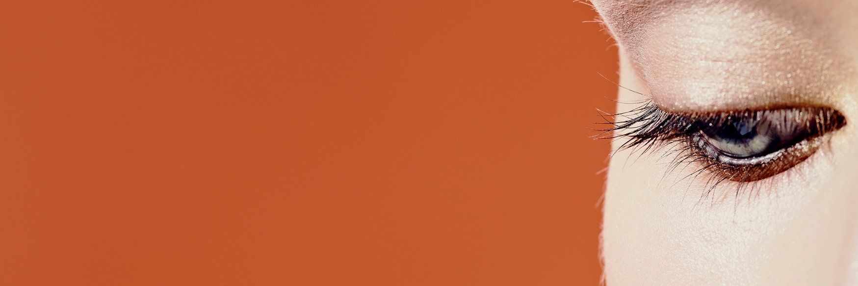 IGOR LEONIDOVIĆ's banner