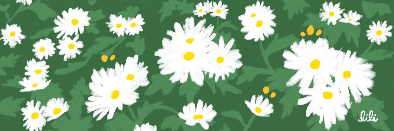 Lili's banner
