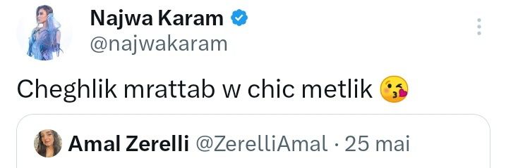 Amal ZERELLI's banner