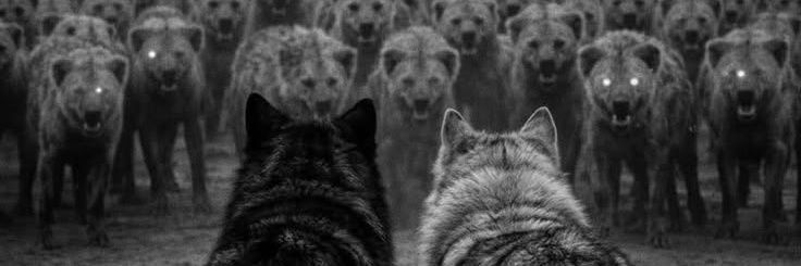 Delta Wolf's banner