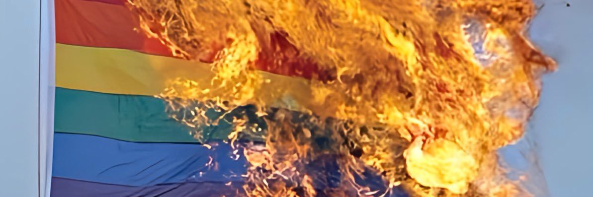 Texan Tiger's banner