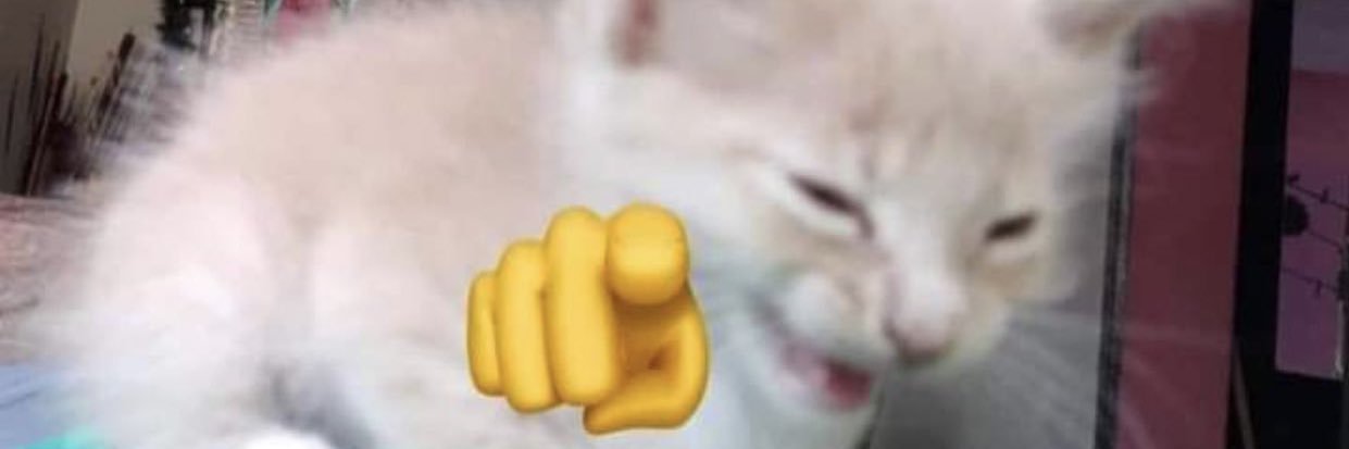 ✎﹏ danára 🇰🇿's banner