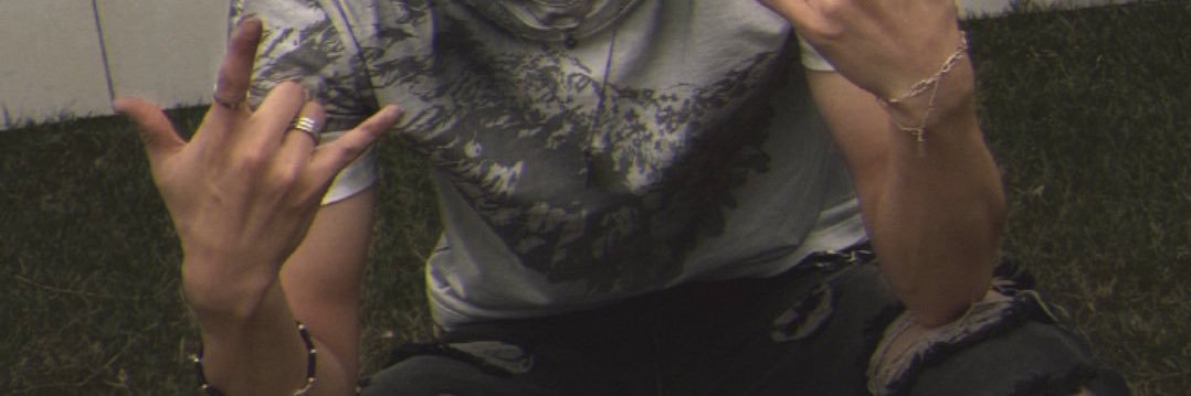 cece ₍^. .^₎⟆'s banner
