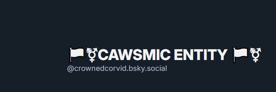🏳️‍⚧️ CAWSMIC 🏳️‍⚧️'s banner