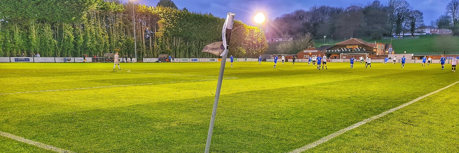 Bemerton Heath Harlequins's banner