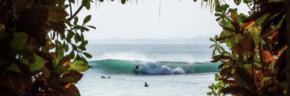 Reef 🏝️'s banner