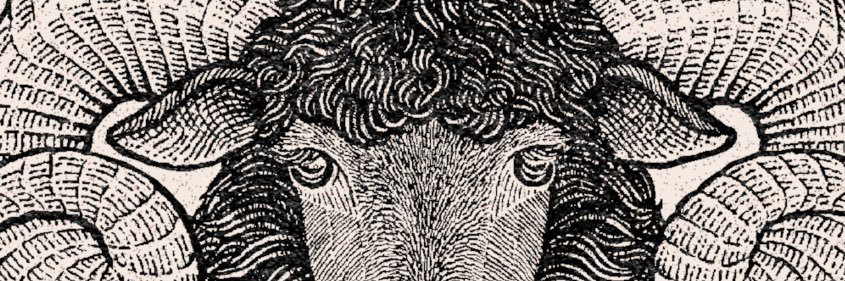 COLLAPSE's banner