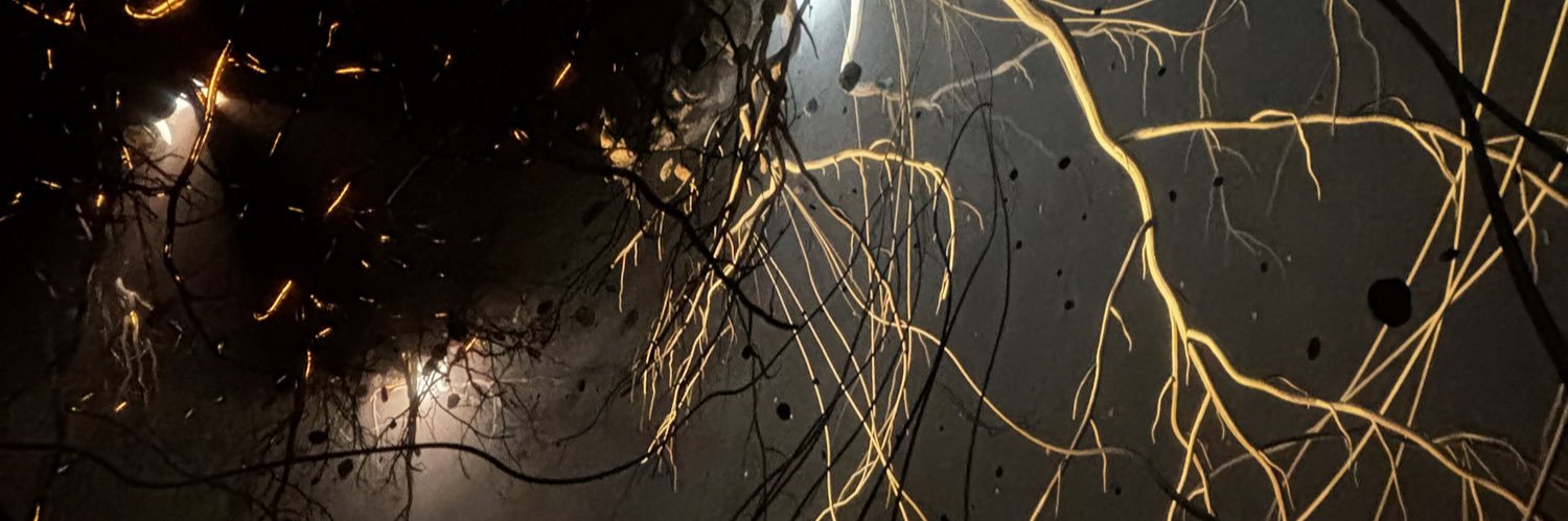 ༼ つ ◕◡◕ ༽つ☁︎︎␈'s banner