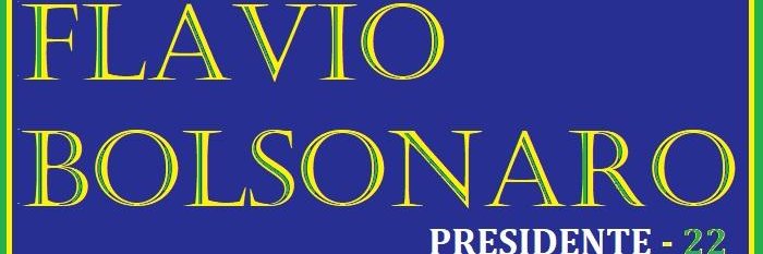 Miguel Diniz - Pátria amada Brasil's banner