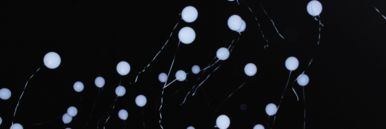 lav`'s banner