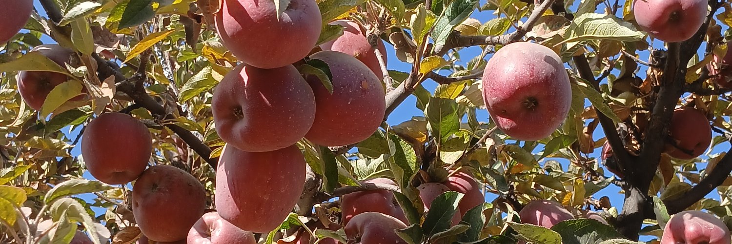 طلحه مبارز بدخشانی || 𝐓𝐌𝐁's banner