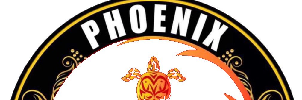 Phoenix Moon's banner