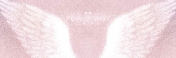 onigirihoon! | enhy7en's banner