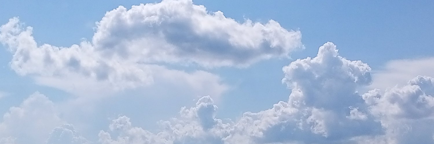 Совушка's banner