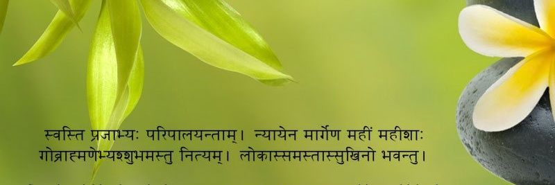 Pamela Satpathy's banner