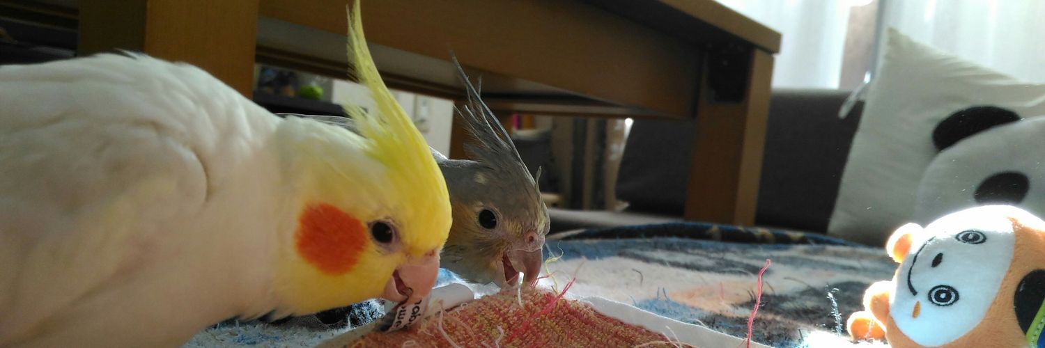 ポンコツゆー's banner