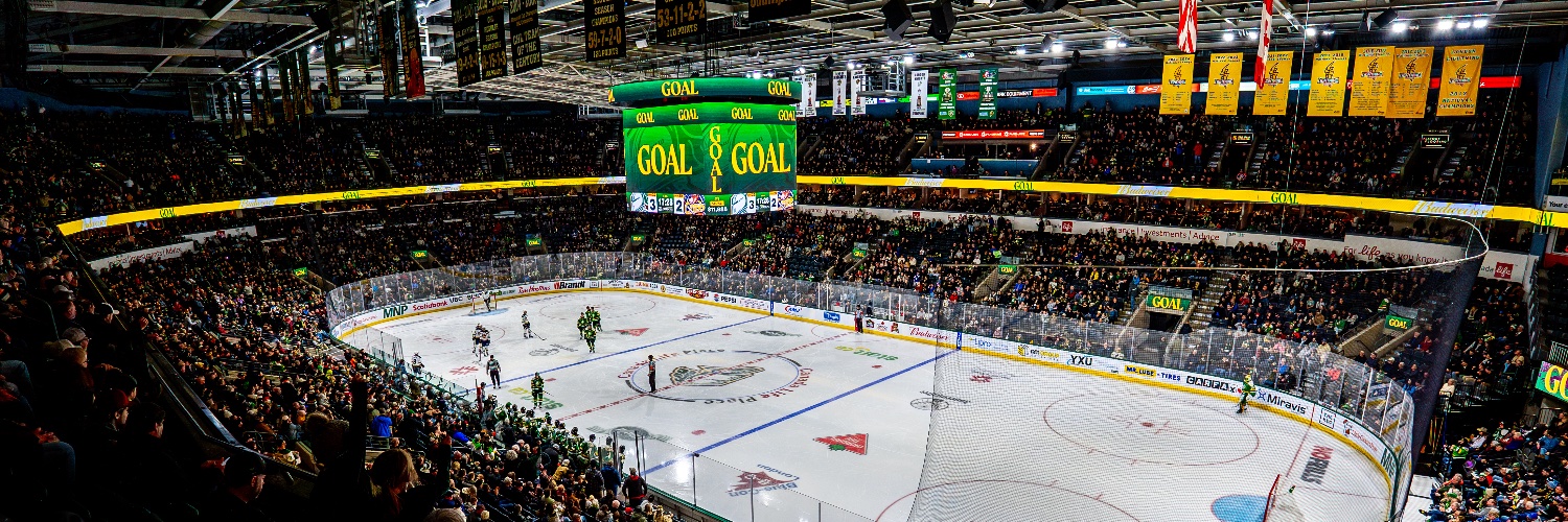 London Knights's banner