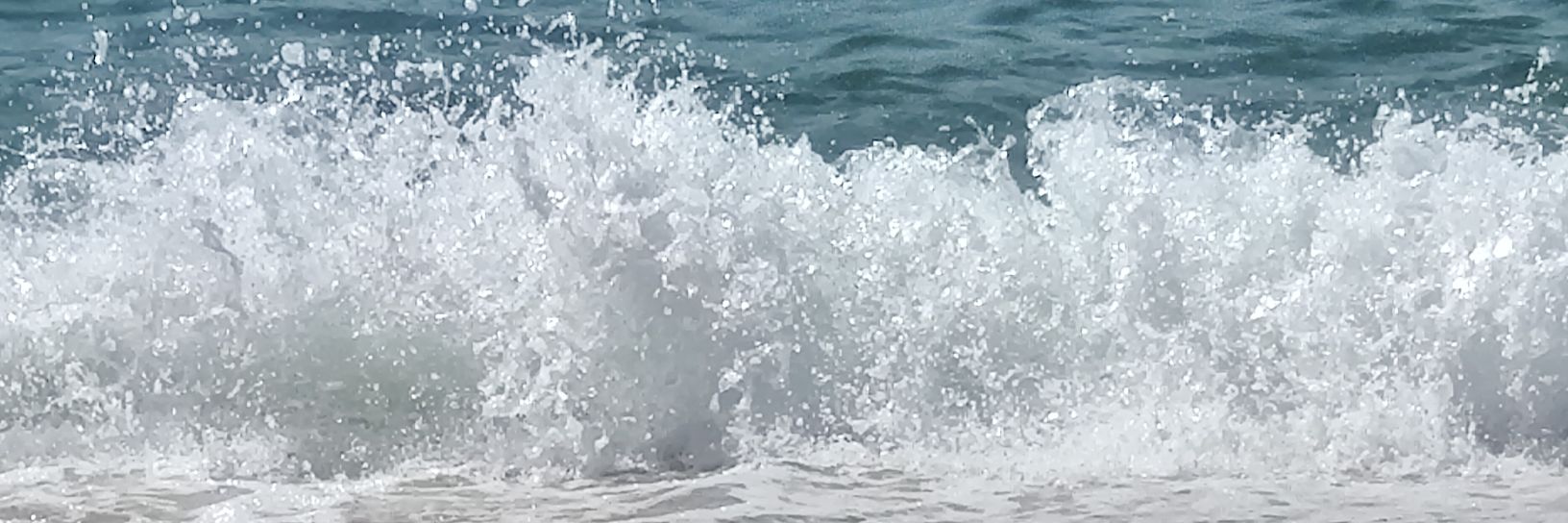 Miguel Noronha's banner