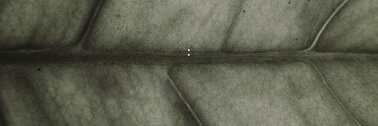 aceng simp🅰️ti nEw!!'s banner