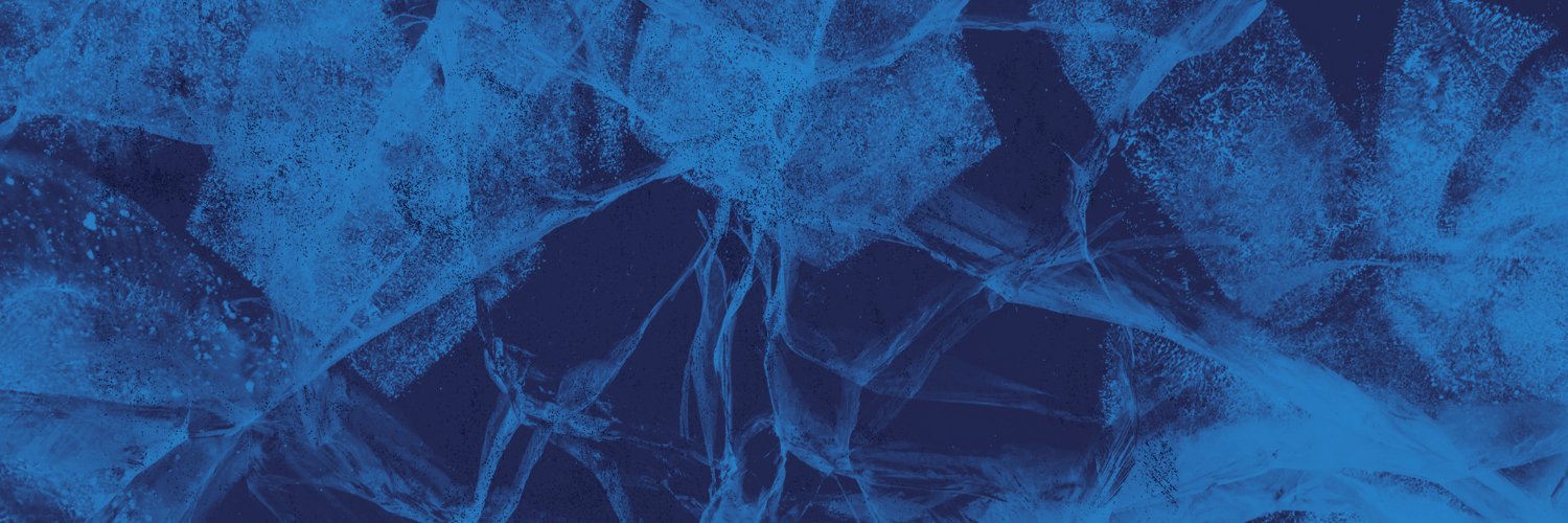 Mestis's banner