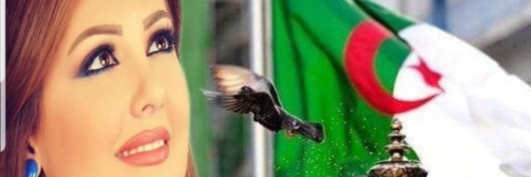 Ania El Afandi آنيا's banner