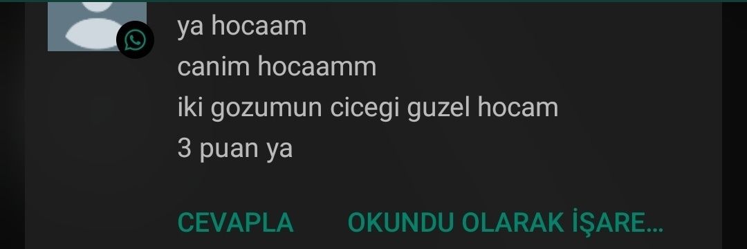 A.DOĞAN's banner