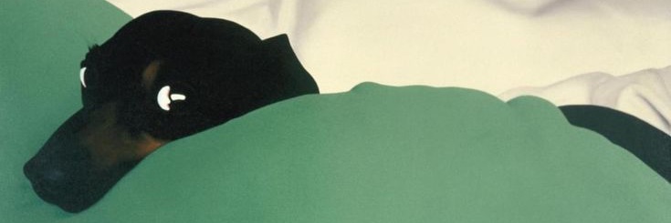 JolieSoleil's banner