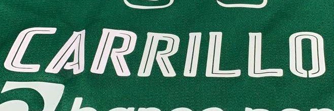 ARMANDO CARRI11O's banner