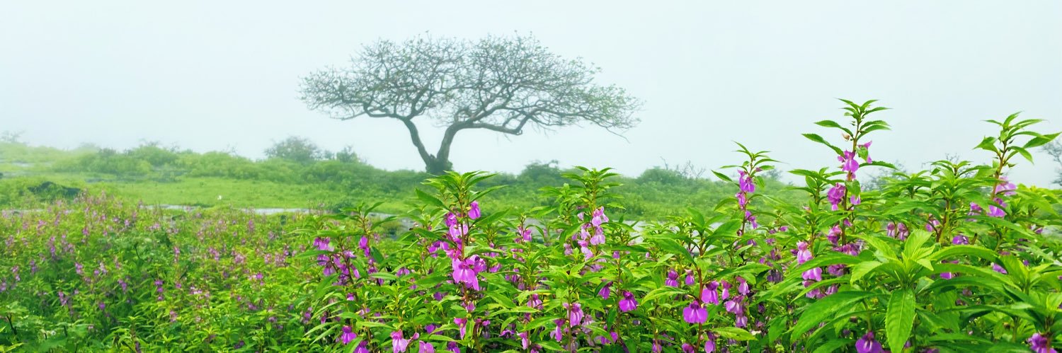 نادر المرهون's banner