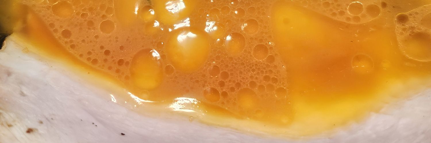 鶏油🐔大好きニキ's banner