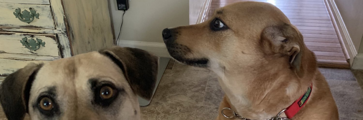 JoeBWun's banner