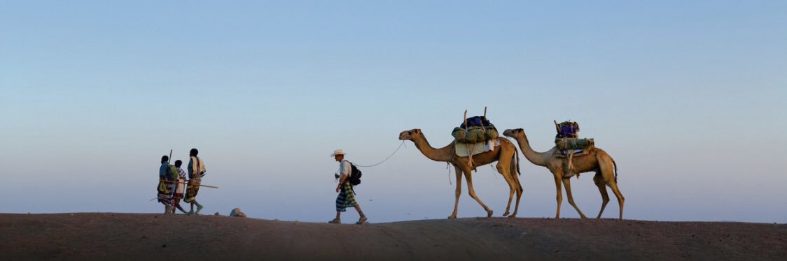 Sasha 🐪 ⛺️ 🌴's banner